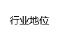 行业地位